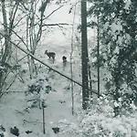 Winterfell - Dom Z Basenem Sezonowym Lipiec-sierpien Korbielów