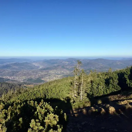 Domek alpejski Winterfell - Dom Z Basenem Sezonowym Lipiec-sierpień *