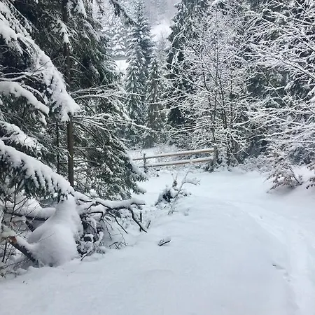 Chalet Winterfell - Dom Z Basenem Sezonowym Lipiec-sierpien