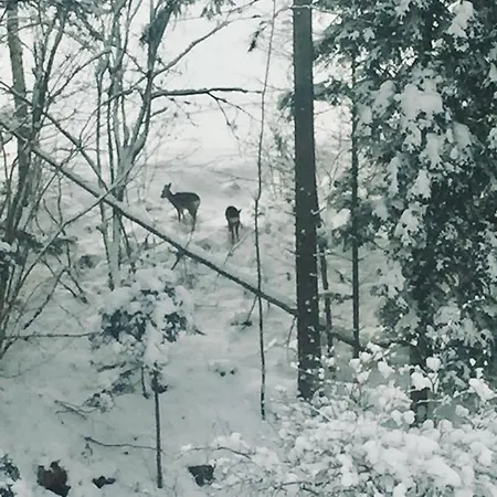 Winterfell - Dom Z Basenem Sezonowym Lipiec-sierpień Korbielów