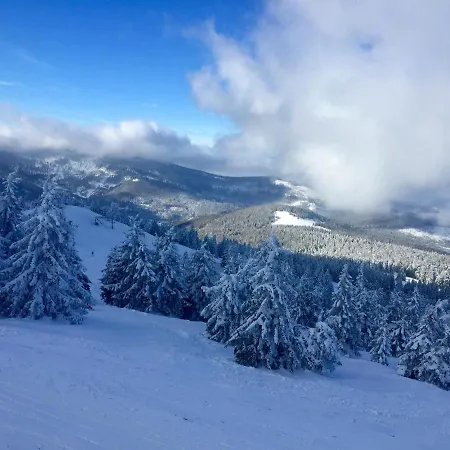 Winterfell - Dom Z Basenem Sezonowym Lipiec-sierpień Korbielów