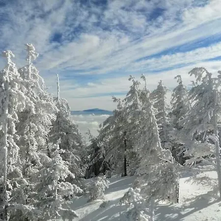 Winterfell - Dom Z Basenem Sezonowym Lipiec-sierpień Domek alpejski