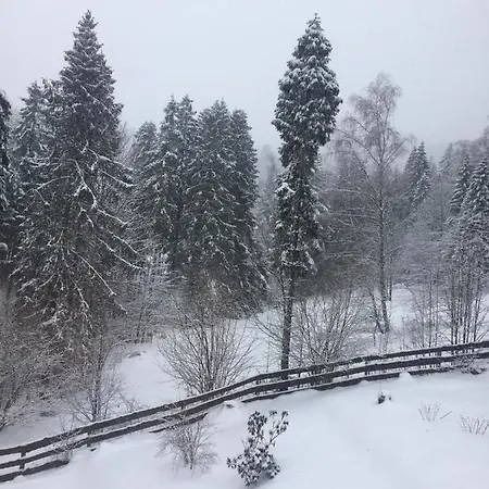 Domek alpejski Winterfell - Dom Z Basenem Sezonowym Lipiec-sierpień Korbielów