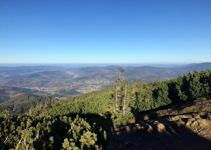 Domek alpejski Winterfell - Dom Z Basenem Sezonowym Lipiec-sierpień *